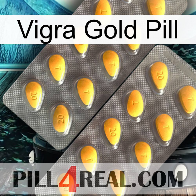 Vigra Gold Pill cialis2